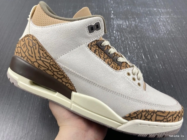 Reps TB Jordan 3 CT8532-102 Air Palomino 0724